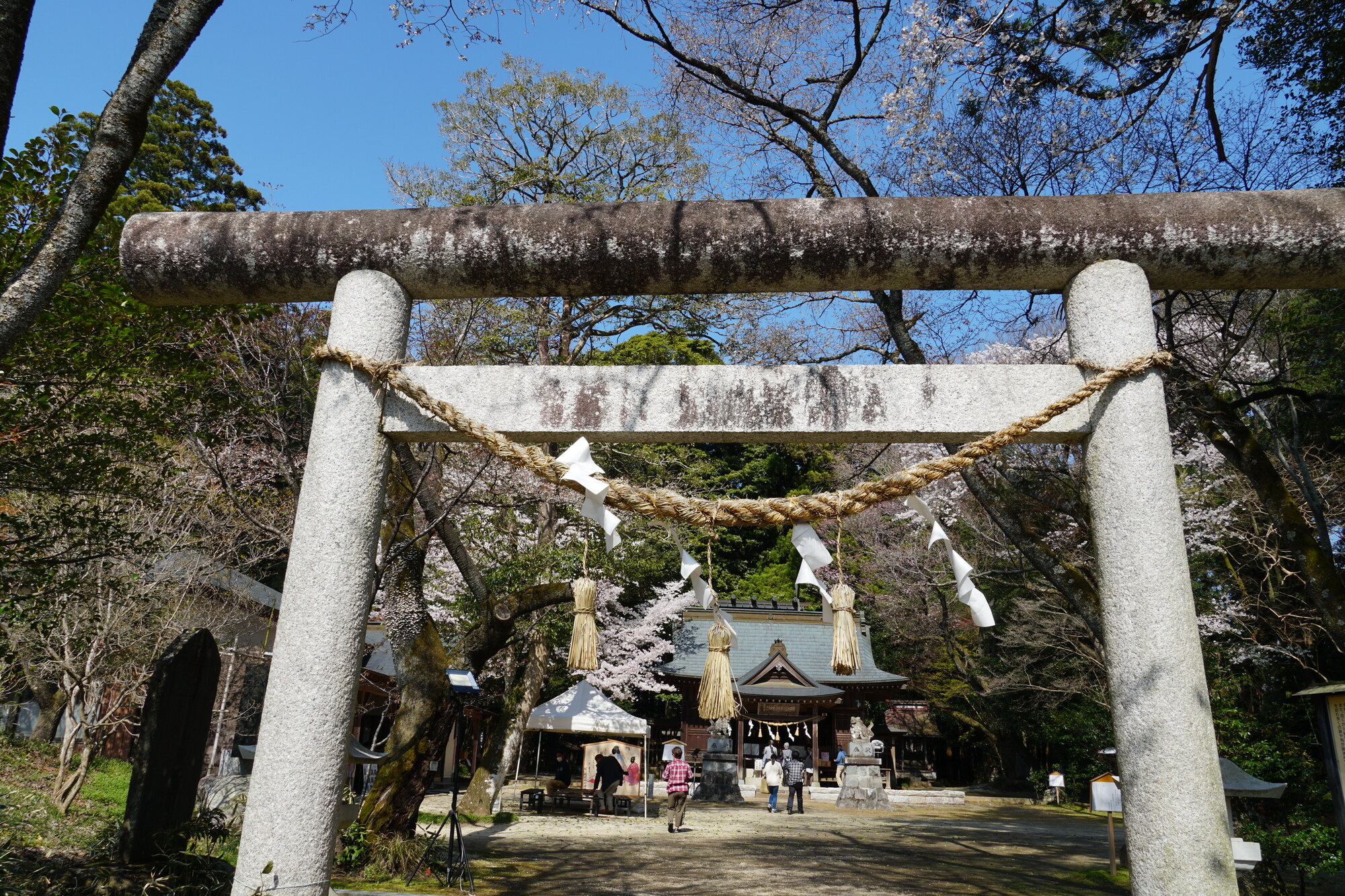 櫻川磯部稲村神社