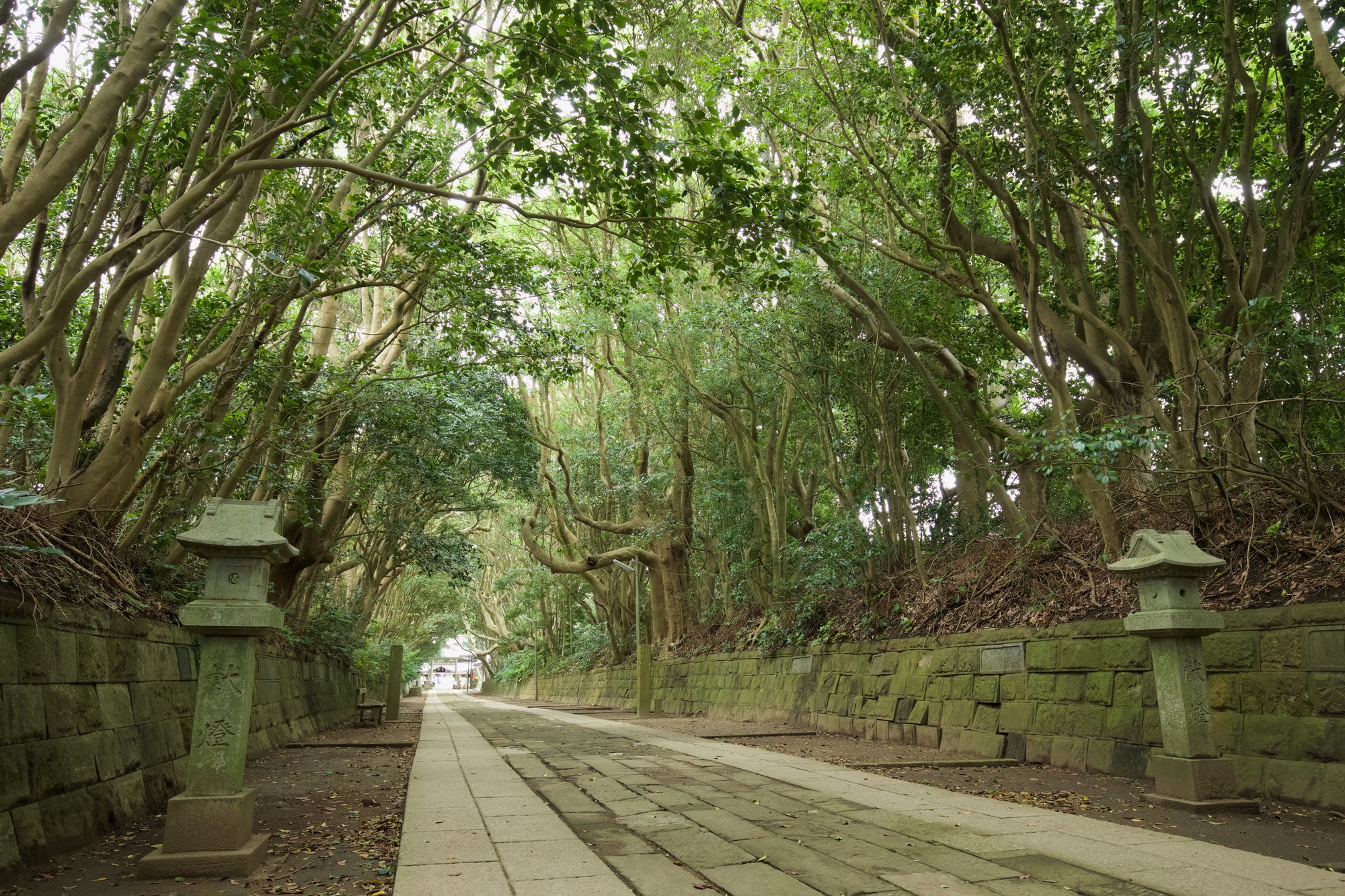 酒列磯前神社の画像 - 2枚目