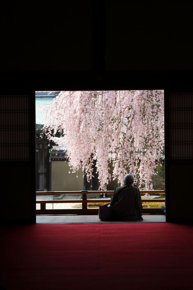 高台寺の画像 - 2枚目