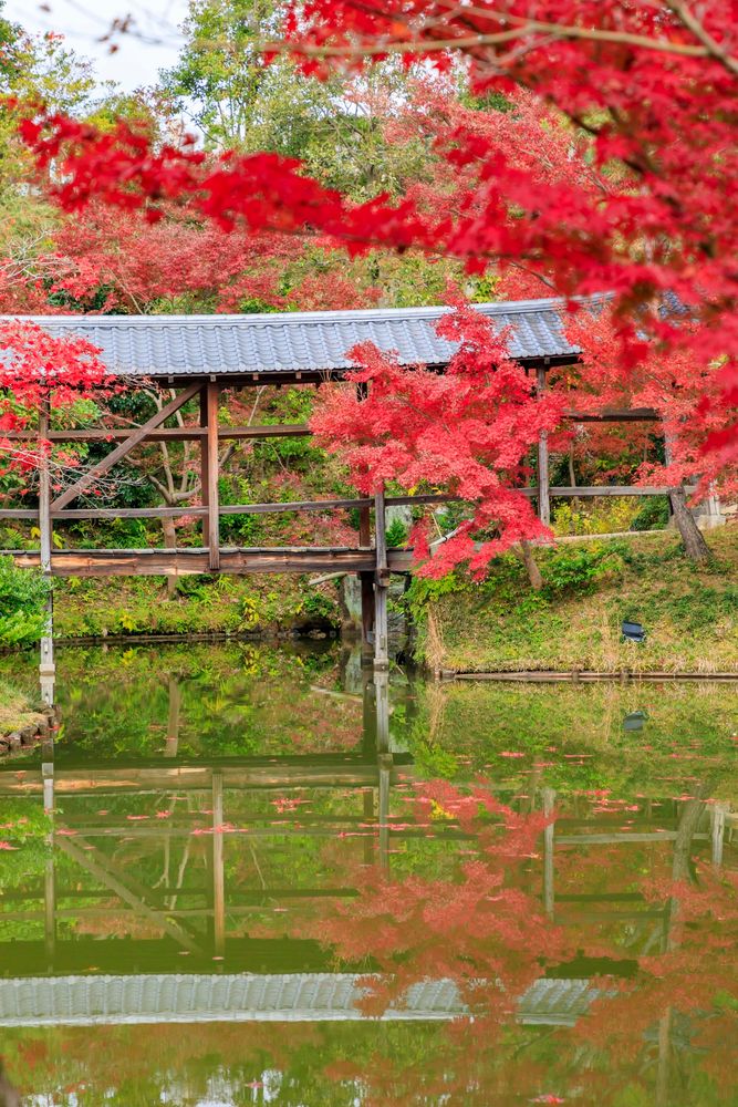 高台寺】の周辺スポット・アクセス・口コミ - Prism Japan