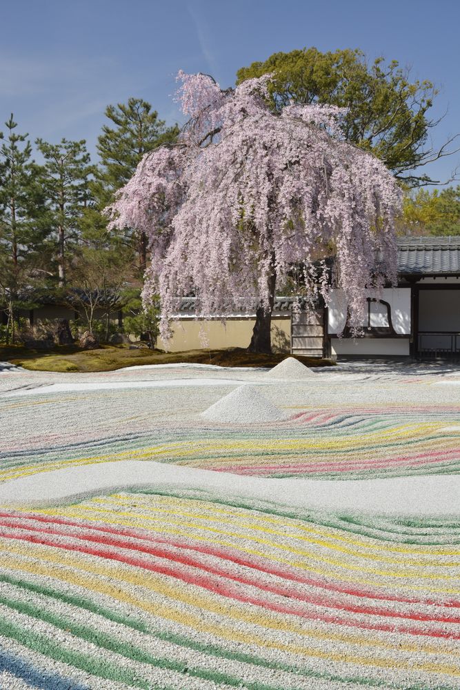 高台寺の画像 - 4枚目