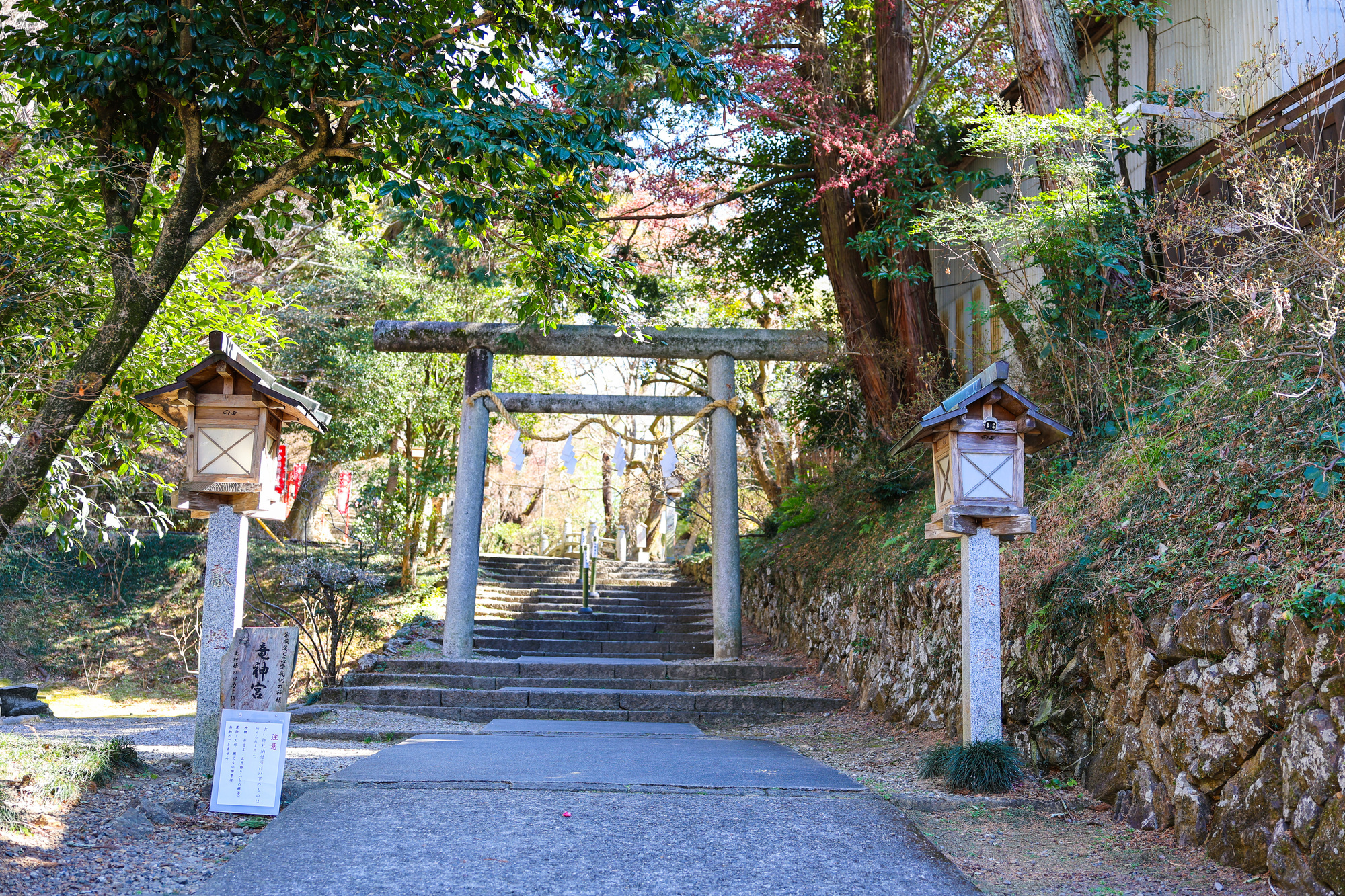 唐澤山神社