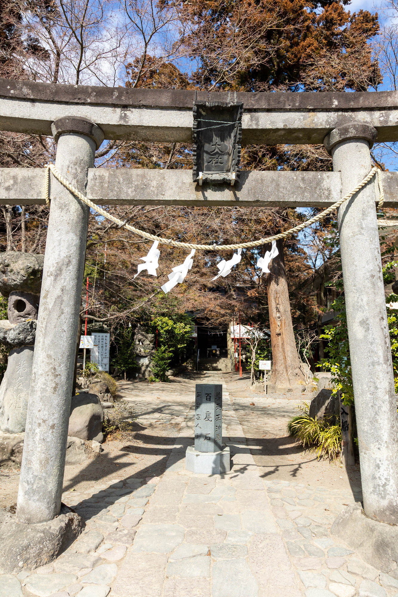 渋川八幡宮