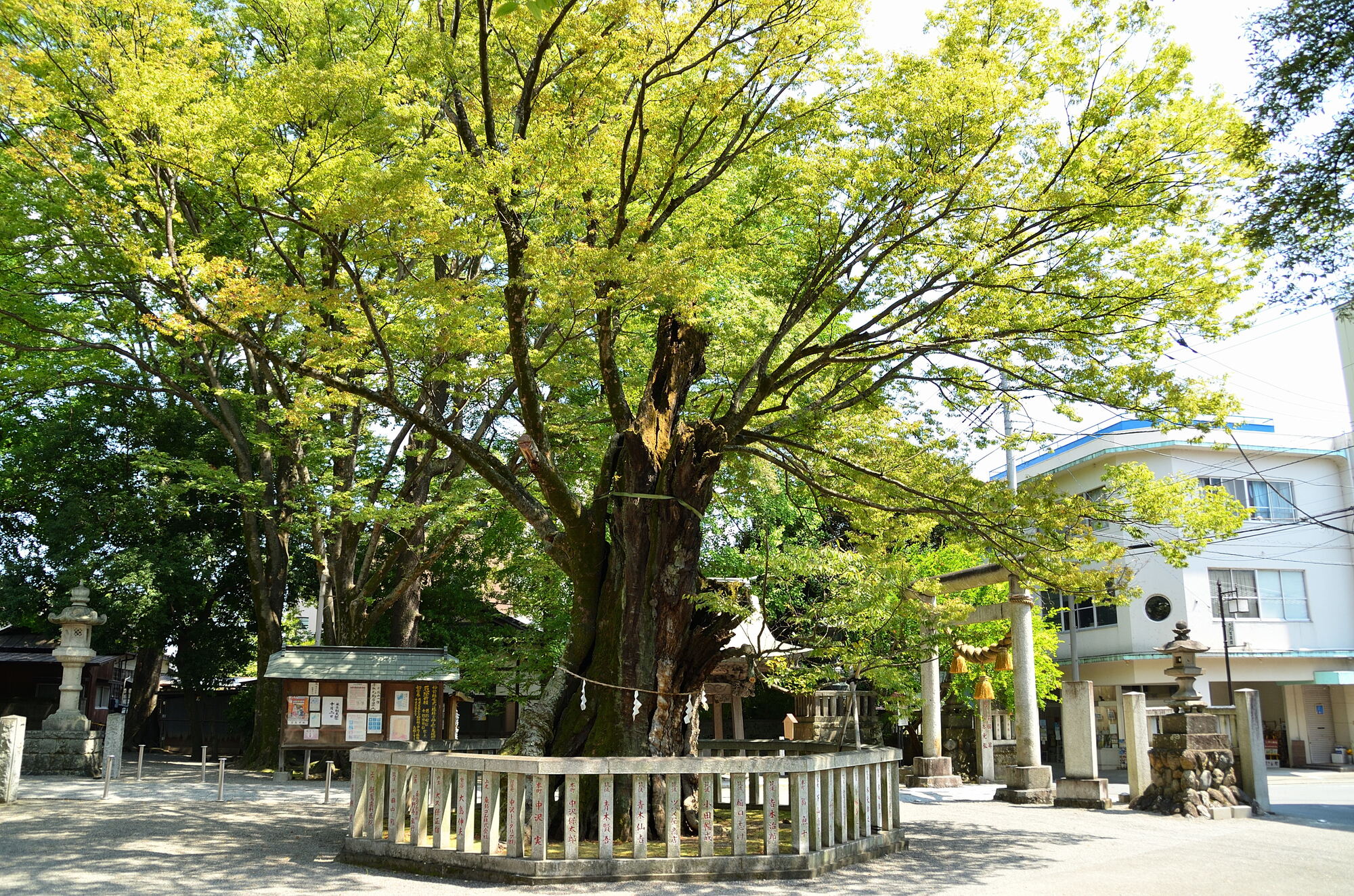 熊谷高城神社の画像 - 2枚目