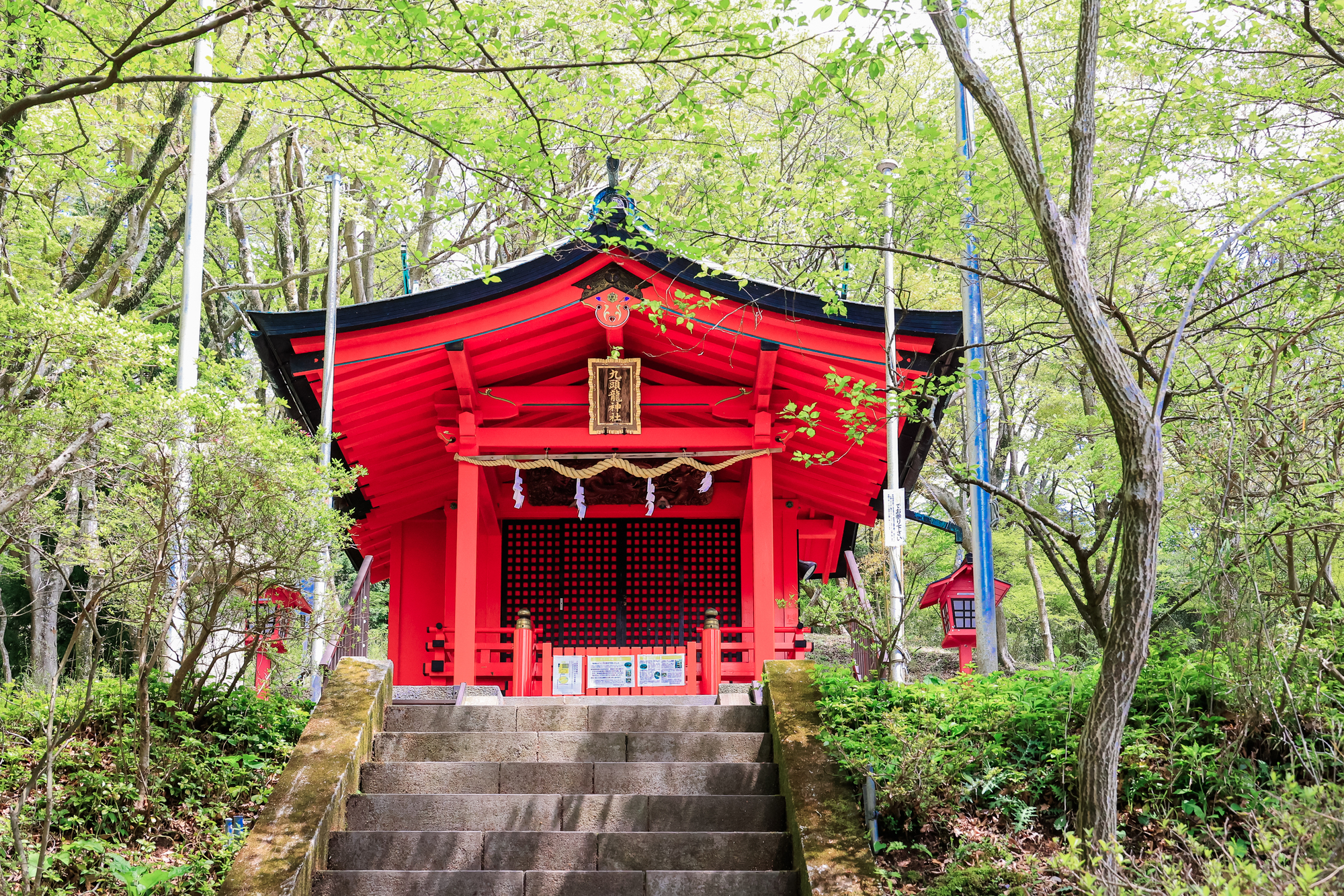 九頭龍神社本宮の画像 - 2枚目
