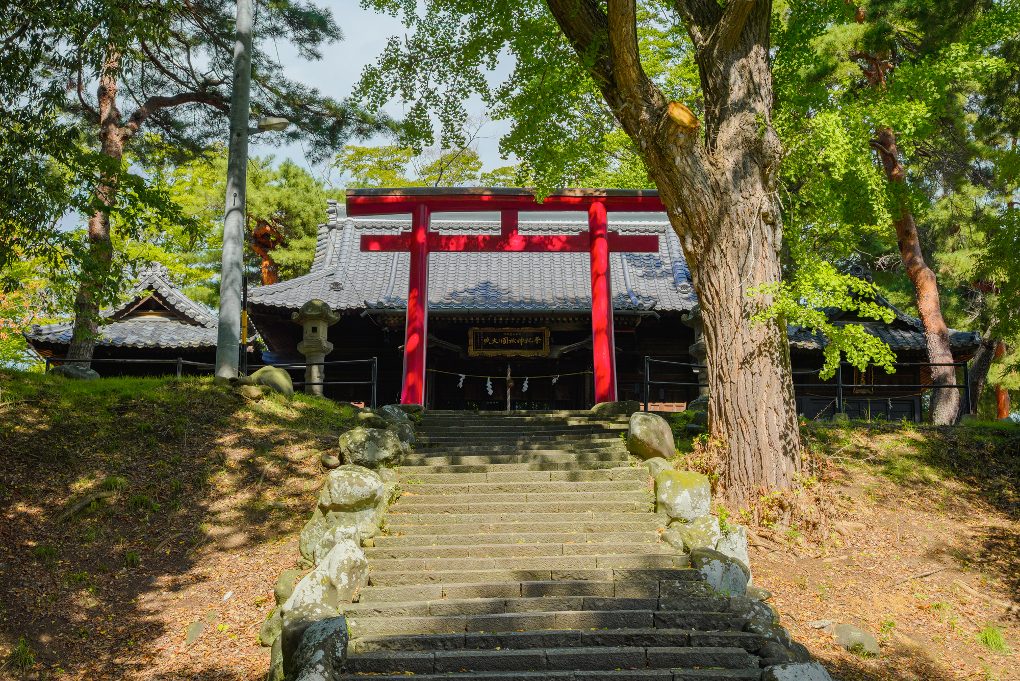 健御名方富命彦神別神社の画像 - 2枚目