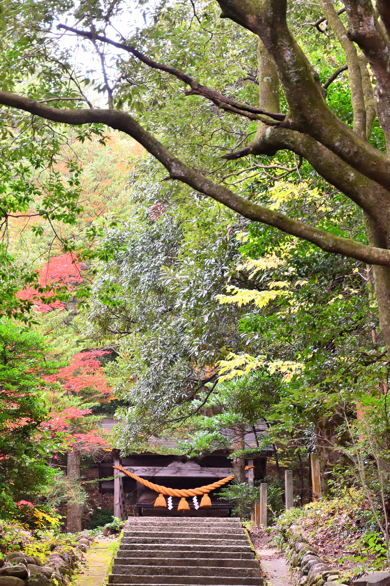 姉倉比売神社の画像 - 2枚目