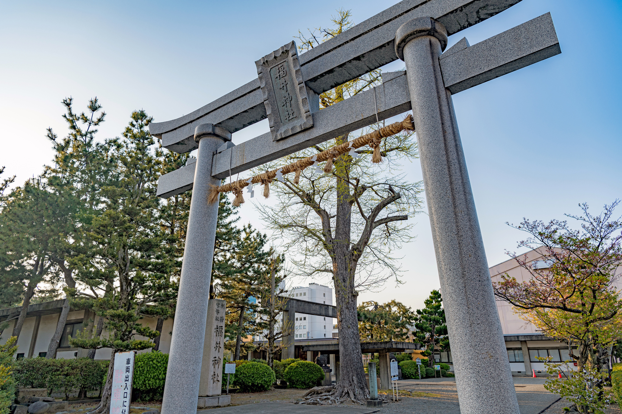 福井神社