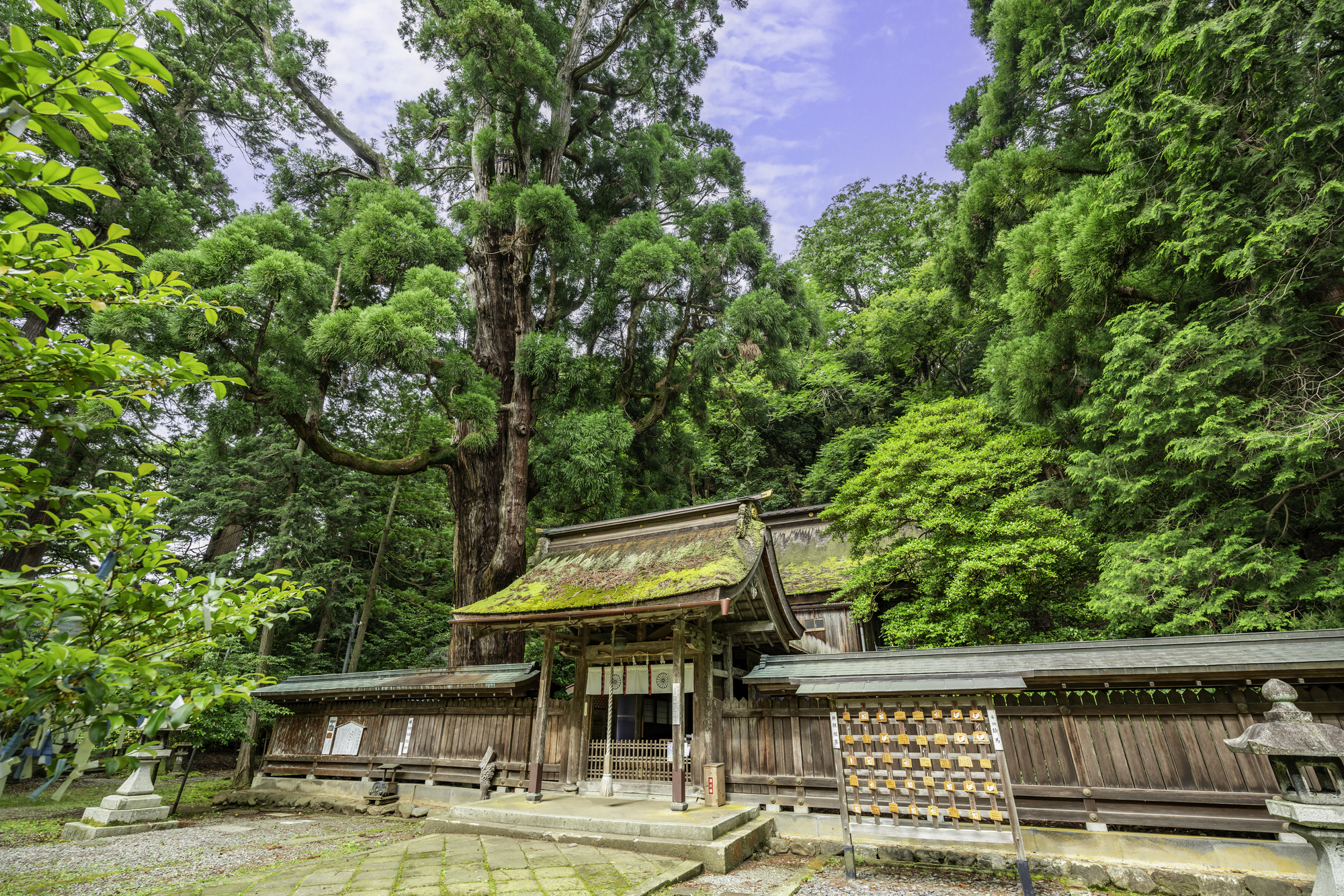 若狭姫神社の画像 - 2枚目