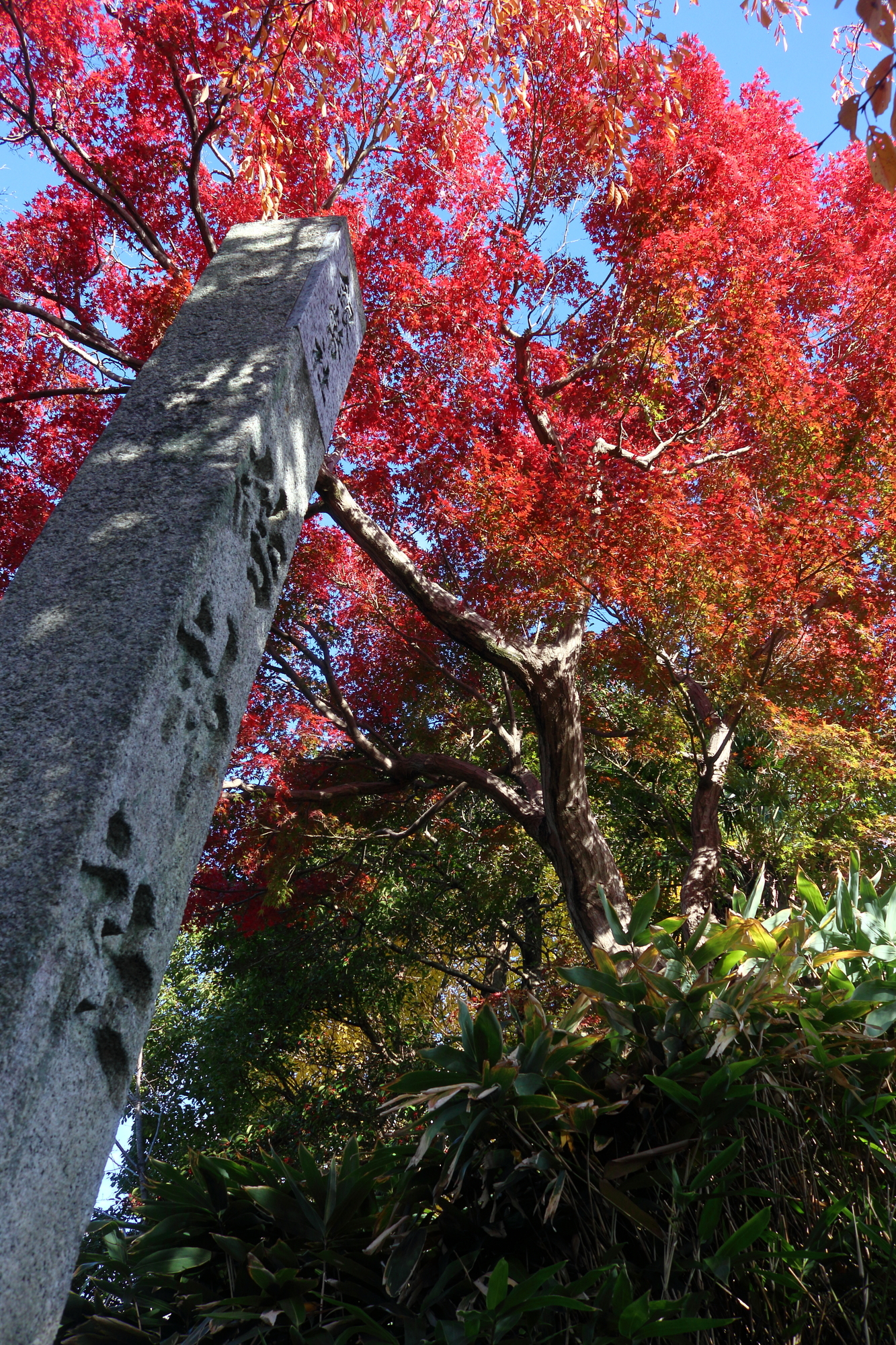 結神社
