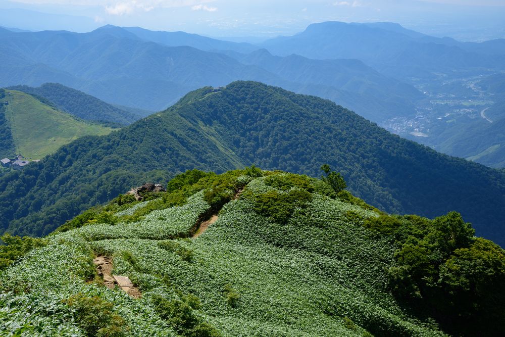 谷川岳の画像 - 5枚目