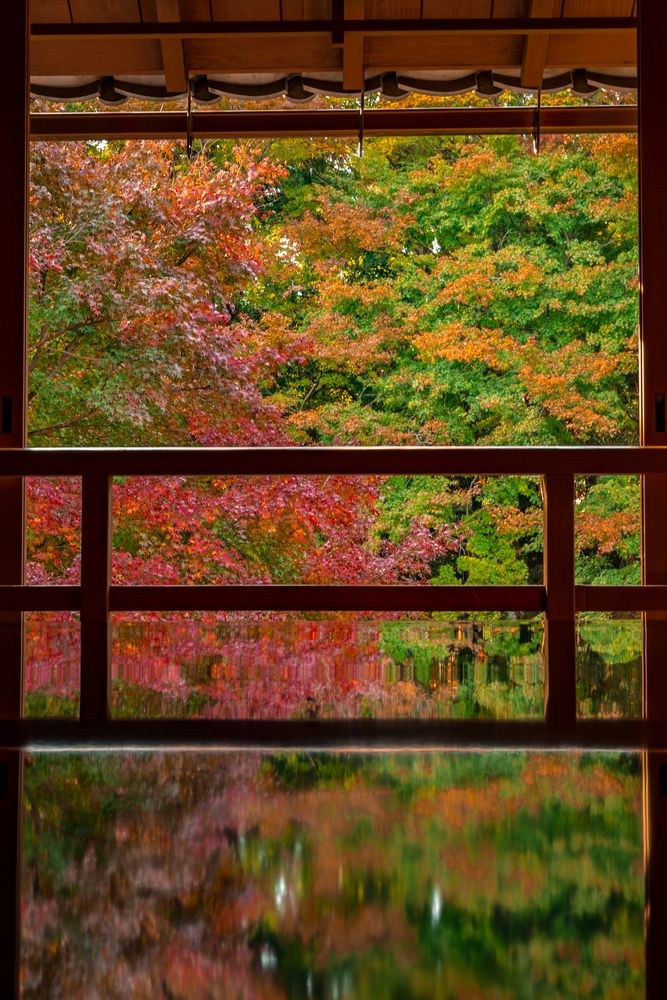 旧竹林院の画像 - 3枚目