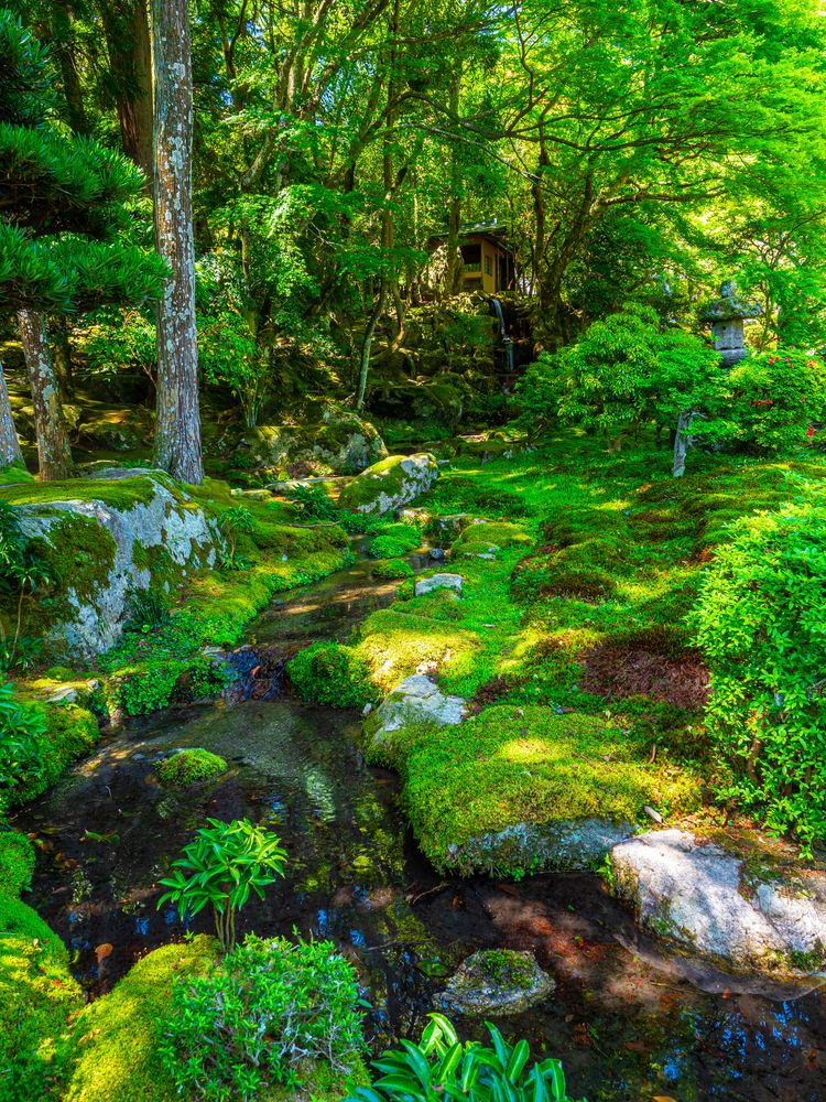 旧竹林院の画像 - 4枚目