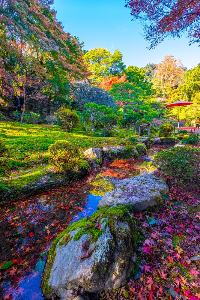 旧竹林院の画像 - 6枚目