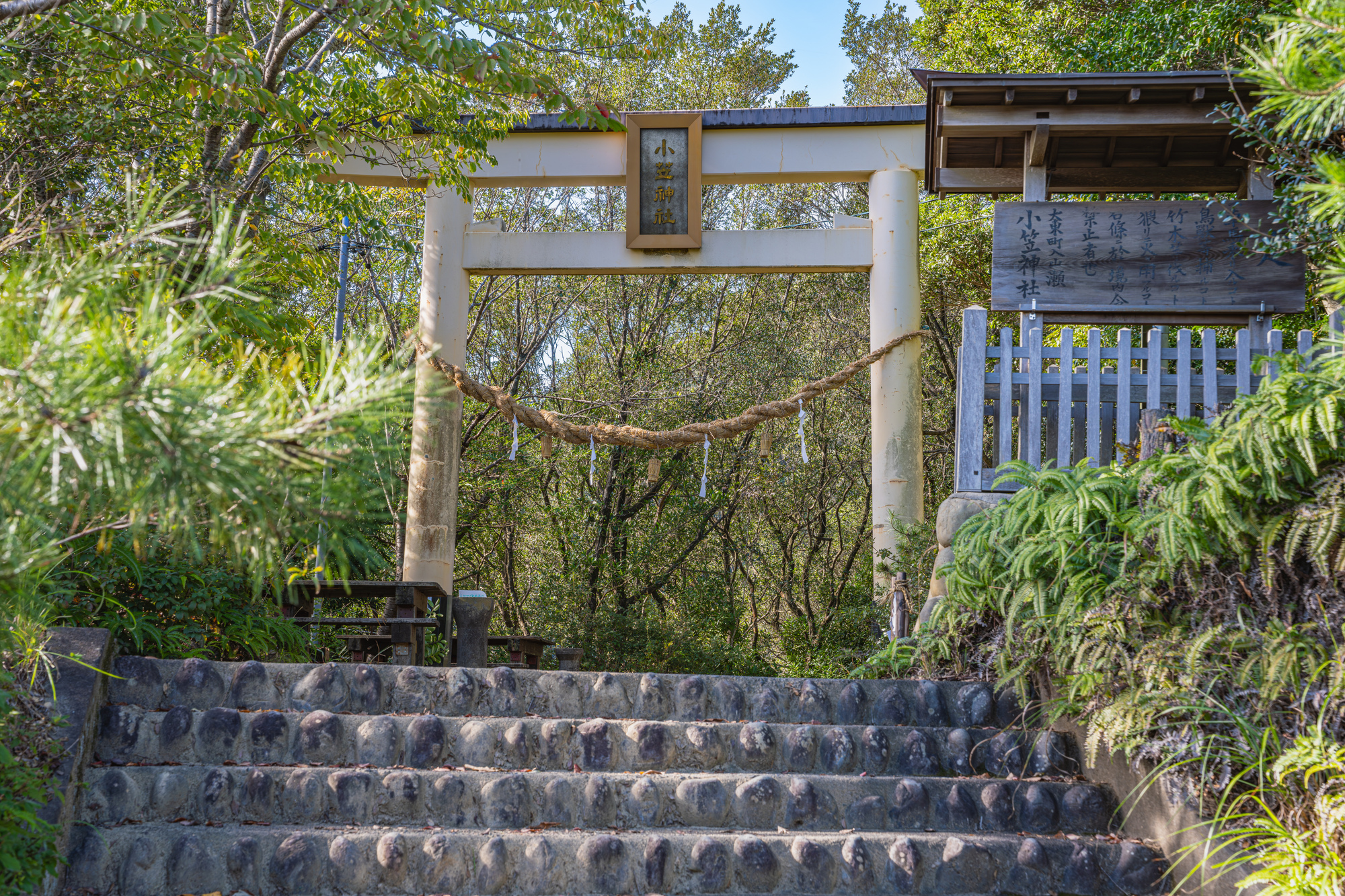 小笠神社