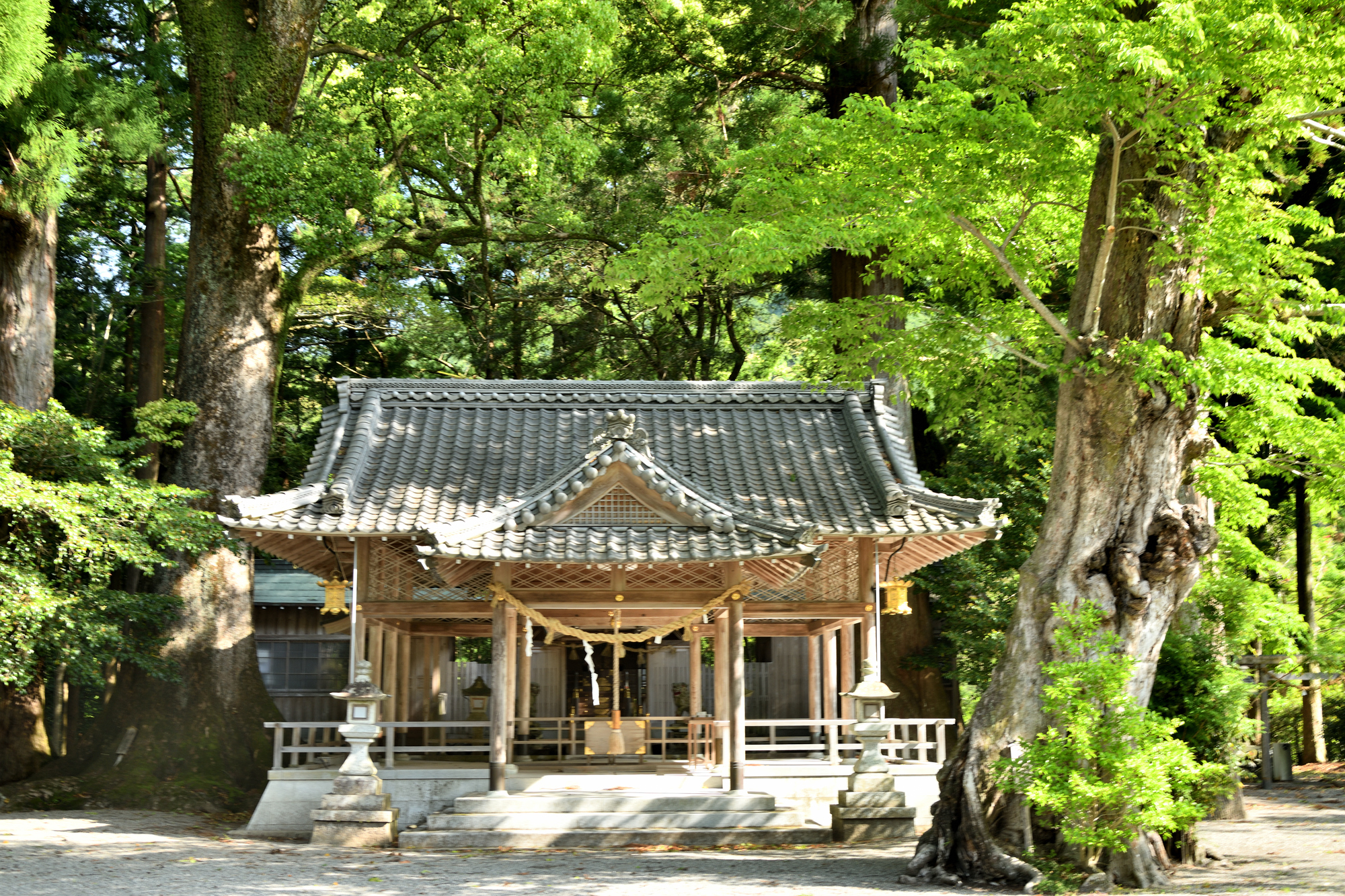 水屋神社の画像 - 2枚目