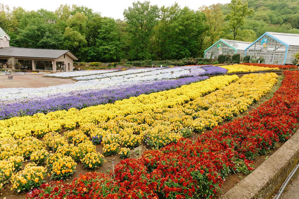 とちぎ花センターの画像 - 5枚目