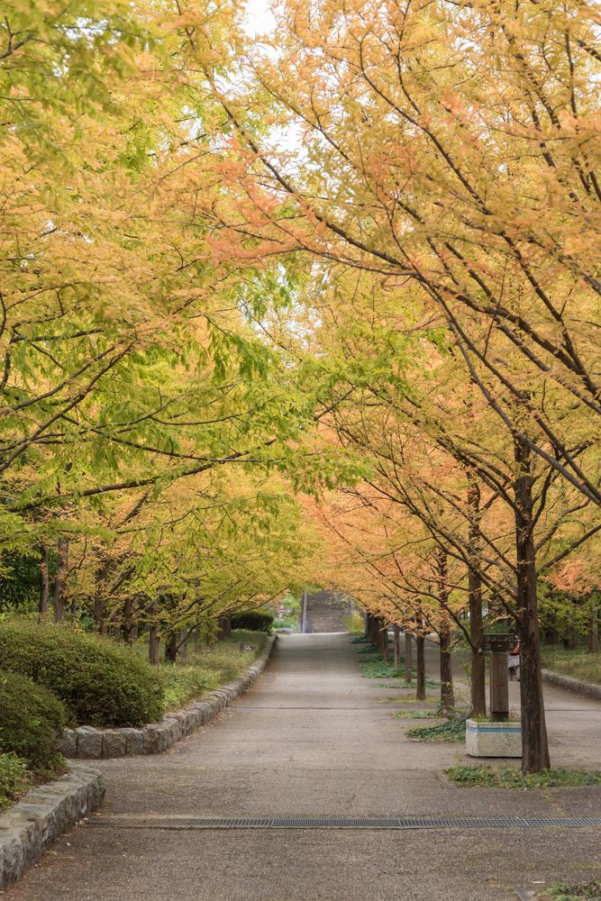 神戸市立森林植物園の画像 - 2枚目