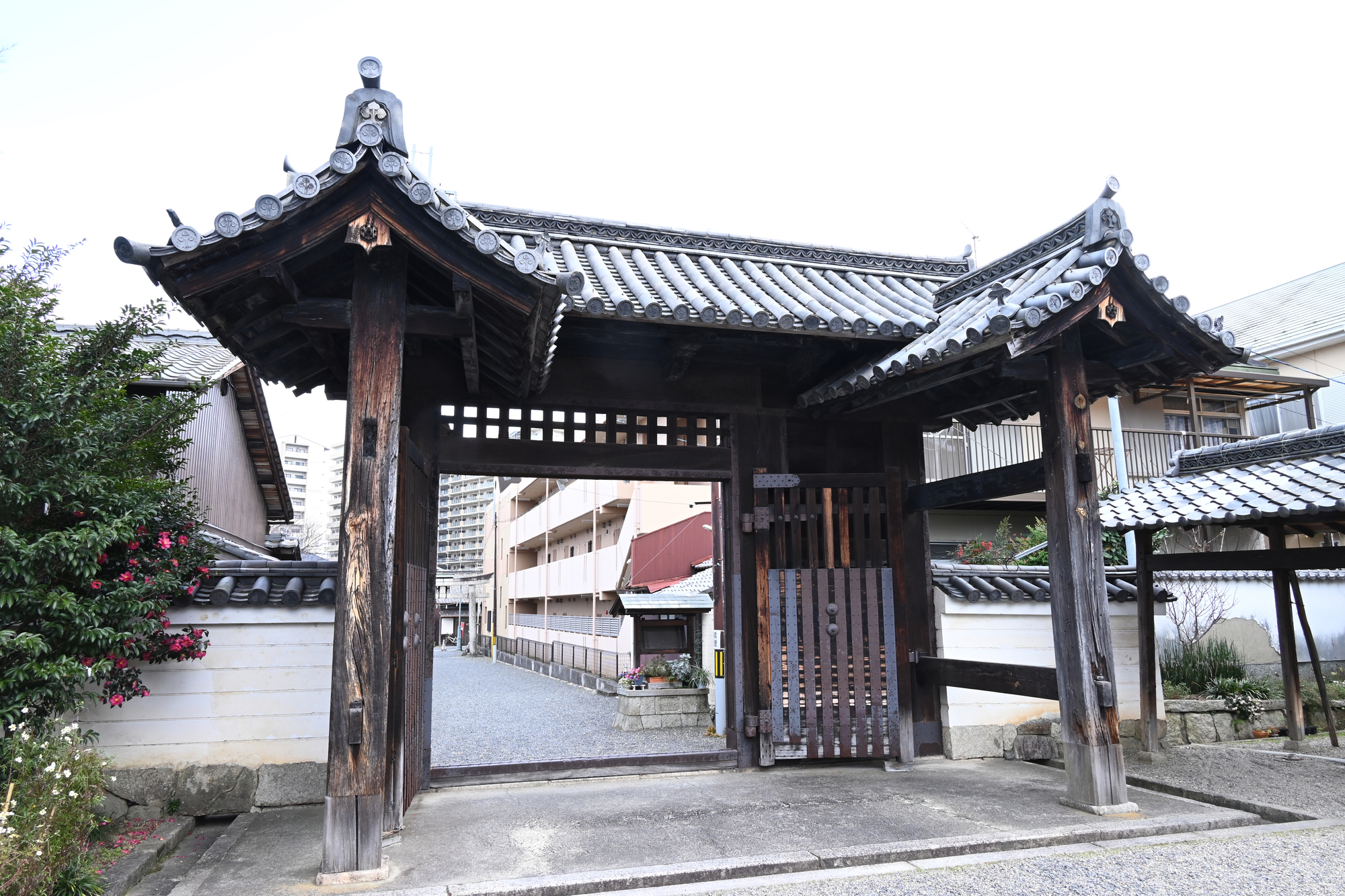 篠津神社の画像 - 2枚目