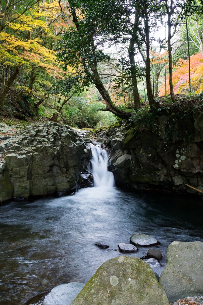 河津七滝の画像 - 3枚目