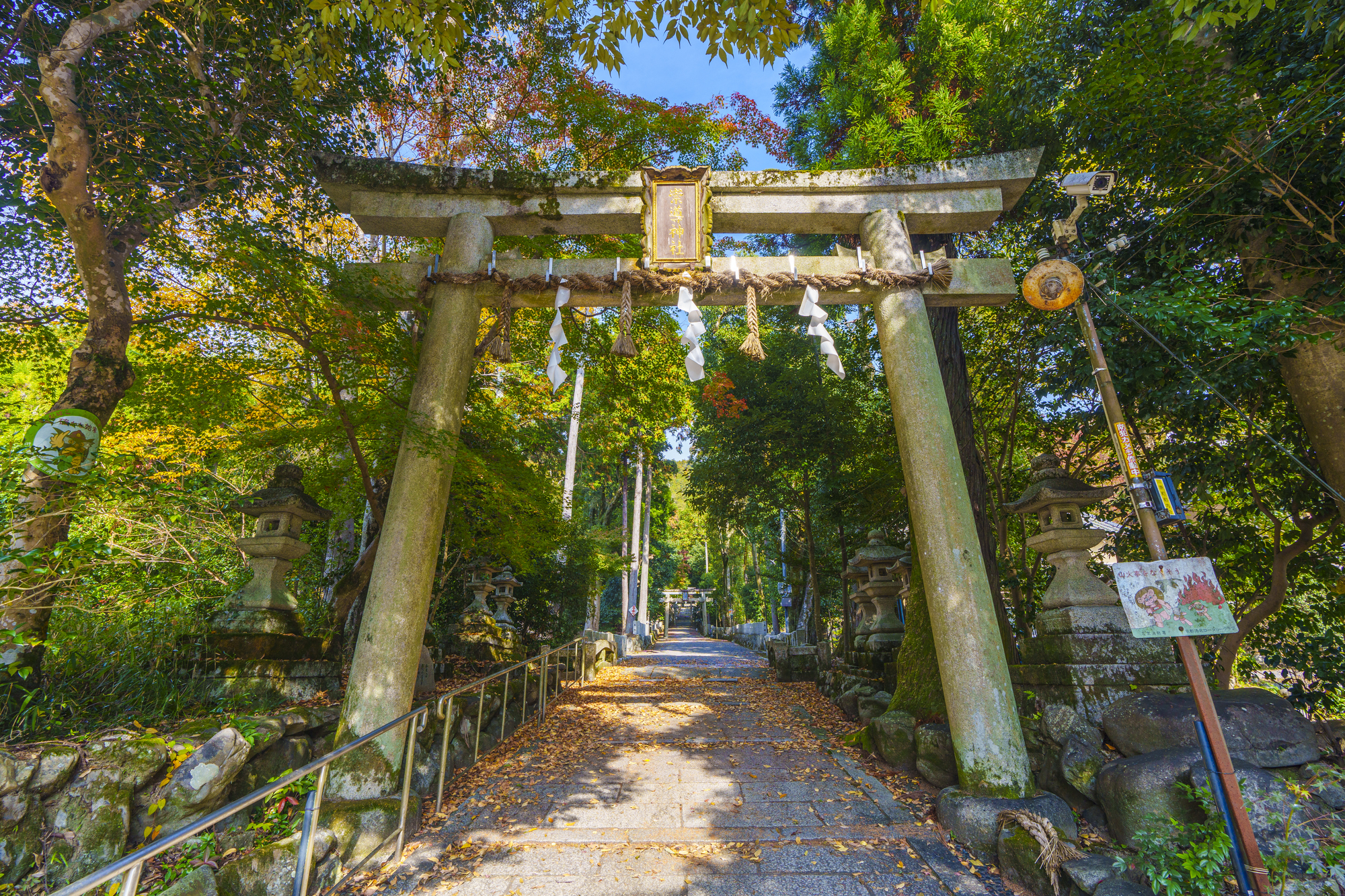 崇道神社