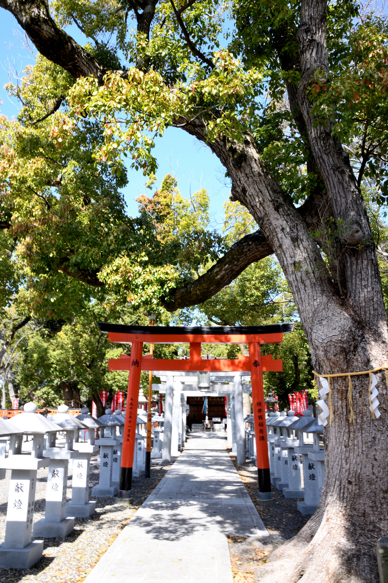 信太森葛葉稲荷神社