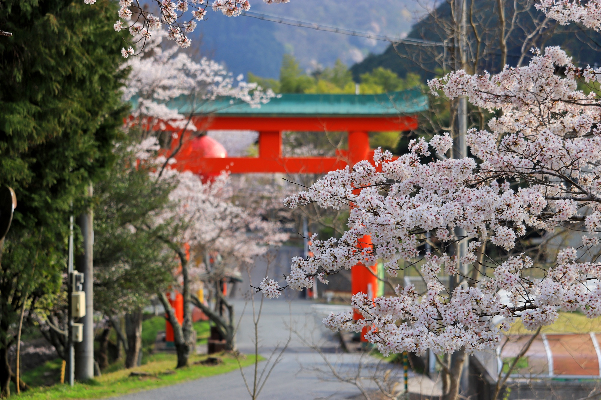 安志加茂神社