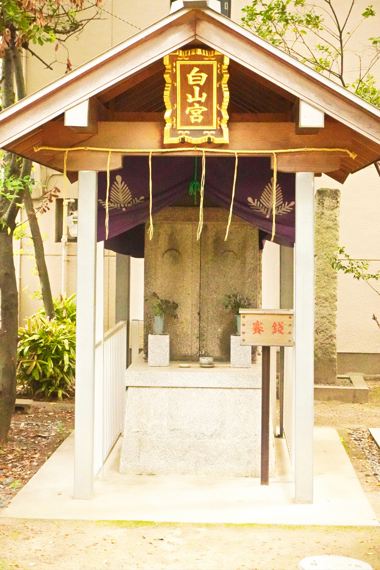 岡太神社の画像 - 2枚目