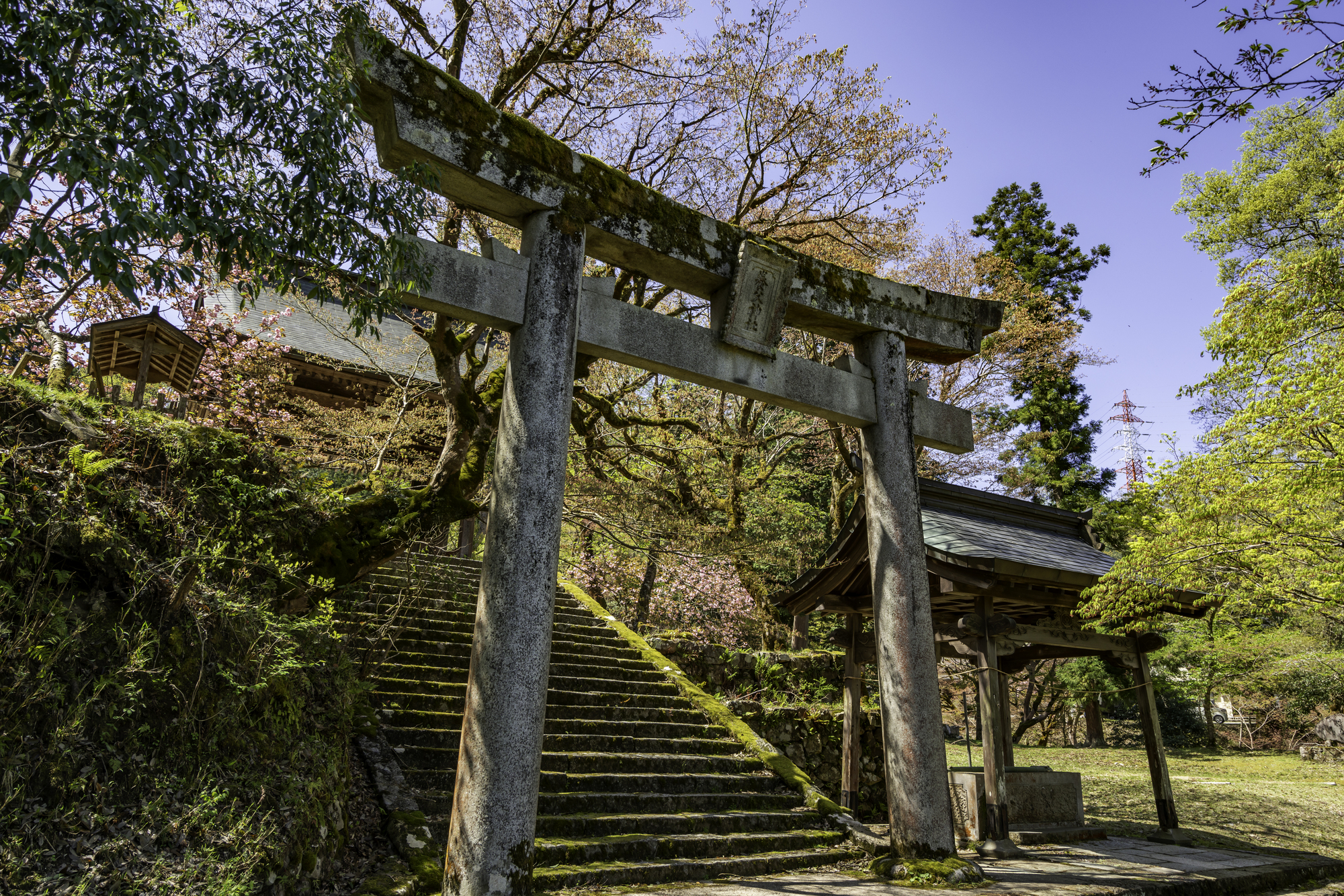 養父神社