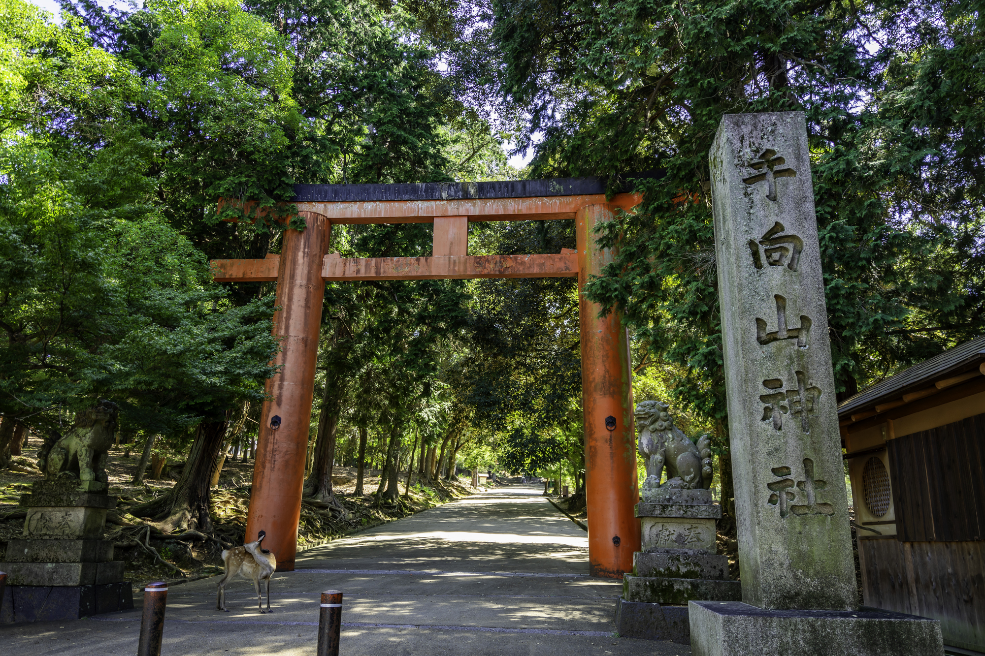手向山八幡宮