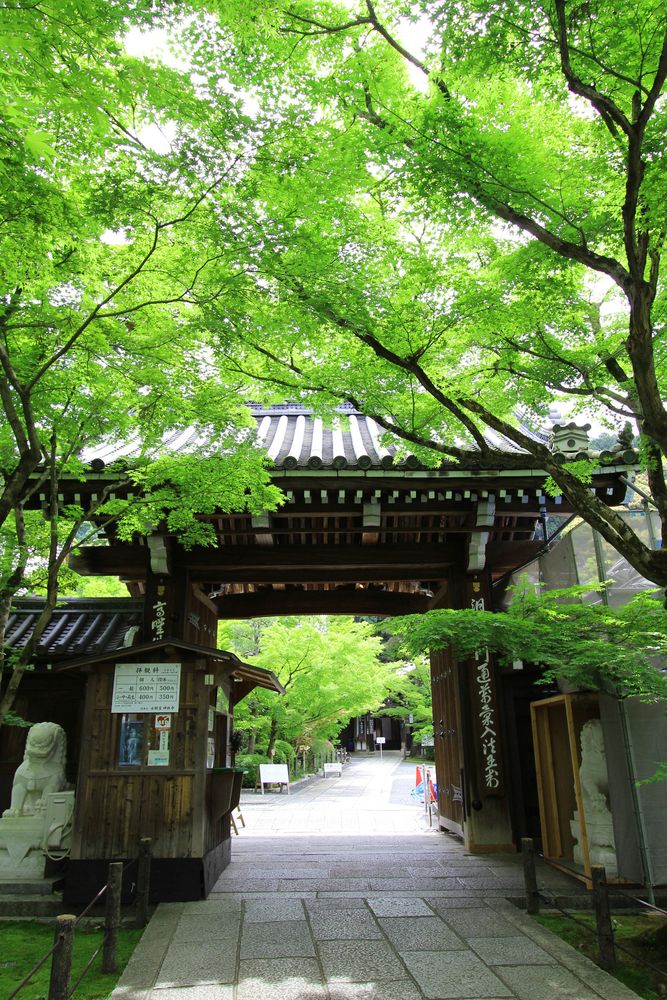 永観堂 禅林寺の画像 - 2枚目