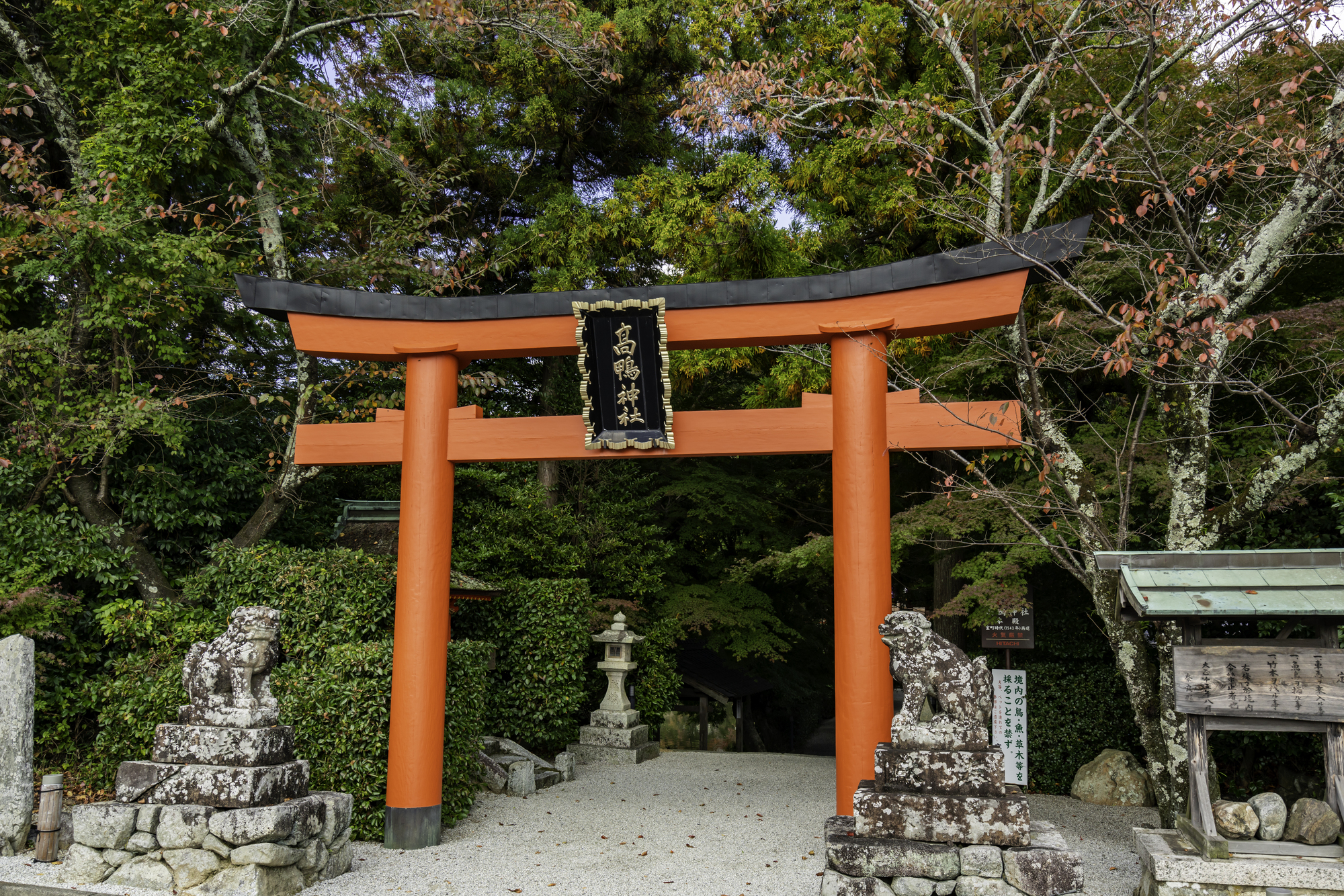 高鴨神社
