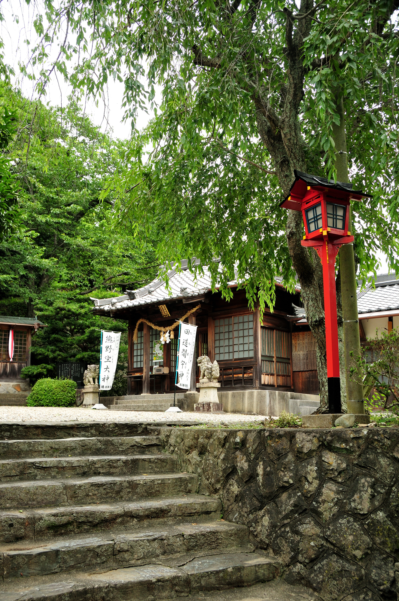 橘本神社の画像 - 2枚目
