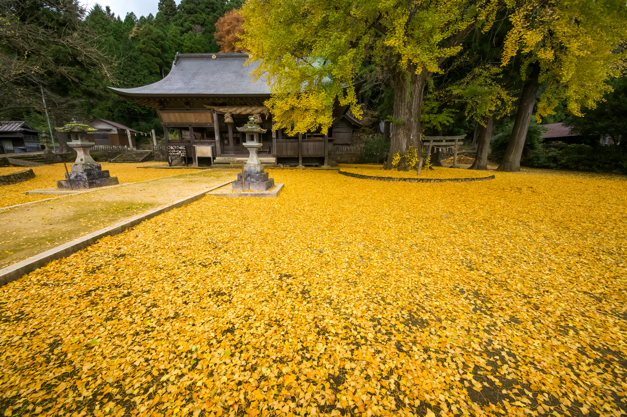 福田神社の画像 - 2枚目