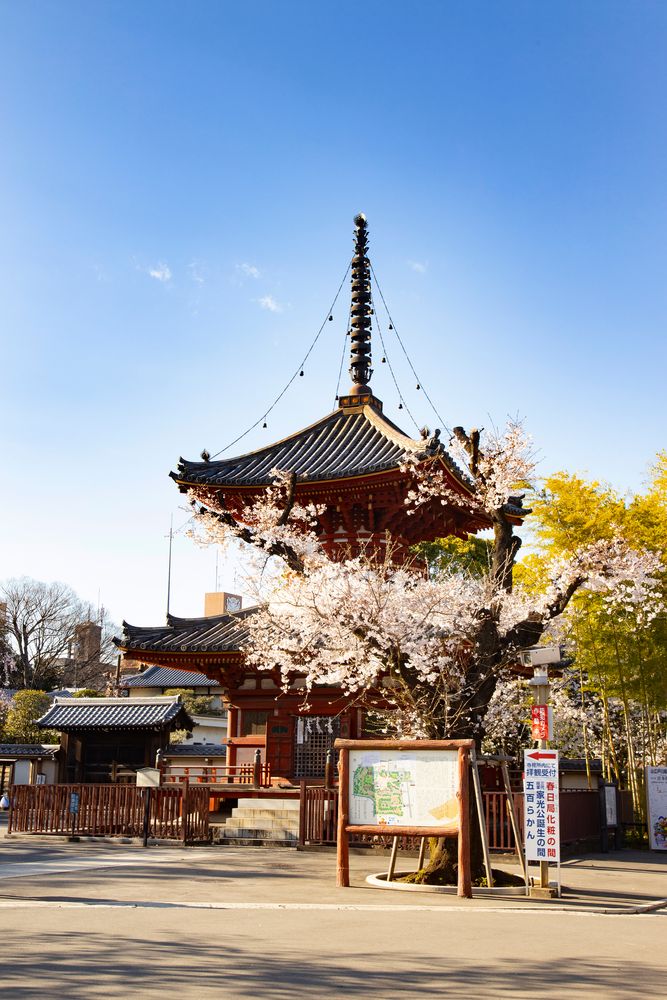 川越大師 喜多院の画像 - 3枚目
