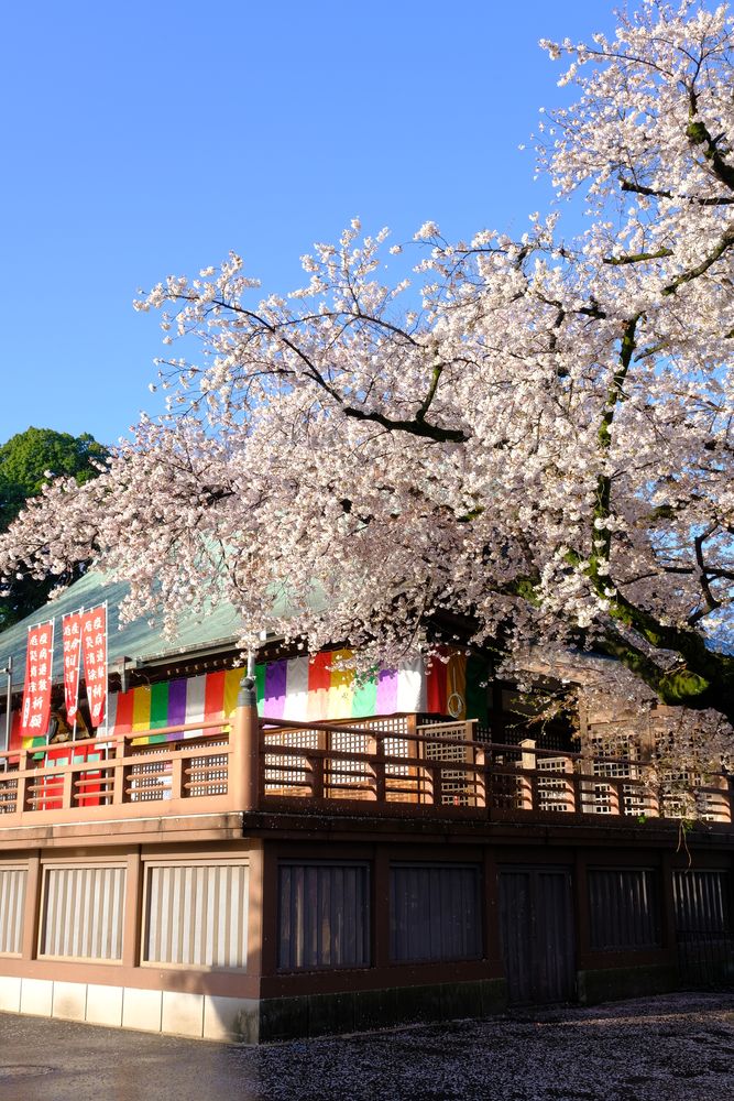 川越大師 喜多院の画像 - 6枚目