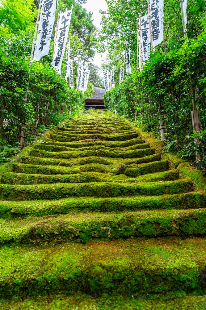 杉本寺の画像 - 2枚目