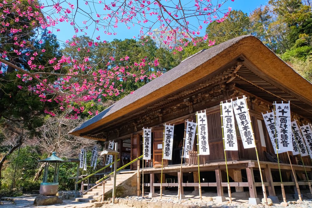 杉本寺の画像 - 4枚目