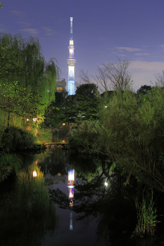 向島百花園の画像 - 3枚目