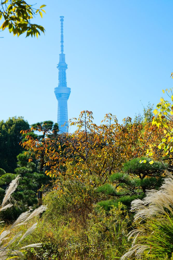 向島百花園の画像 - 4枚目