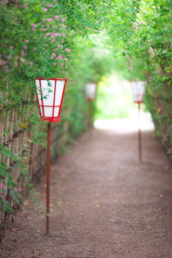 向島百花園の画像 - 5枚目