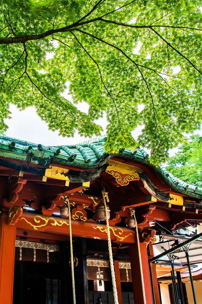 赤坂氷川神社の画像 - 4枚目