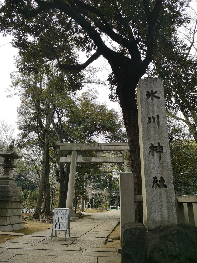 赤坂氷川神社の画像 - 5枚目