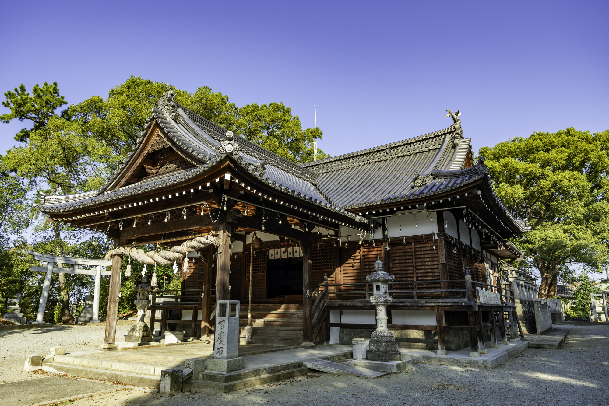 豊浜八幡神社