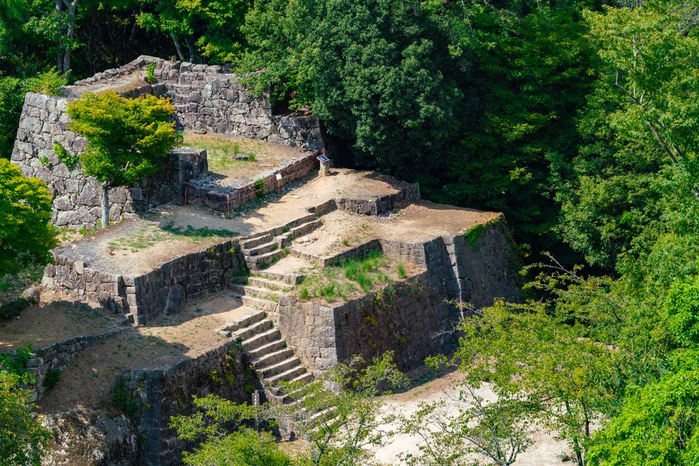 さくらの木 通販限定】Z/X -Zillions of enemy X- 掛軸「上柚木さくら