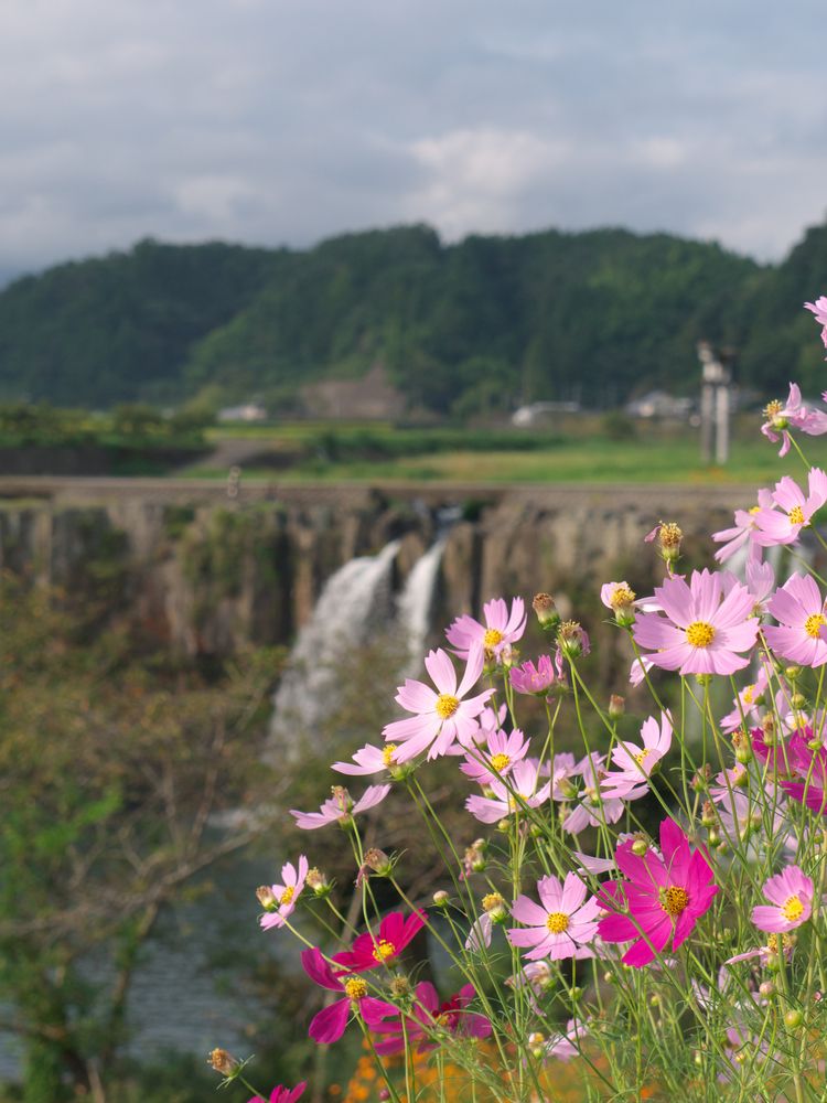 原尻の滝の画像 - 4枚目