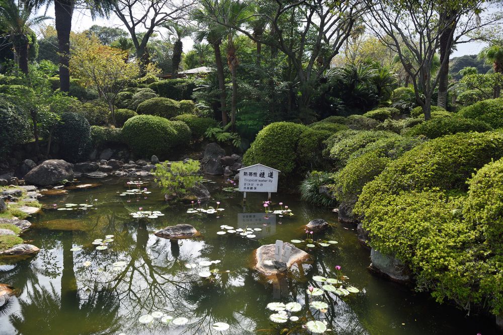 別府温泉の画像 - 6枚目