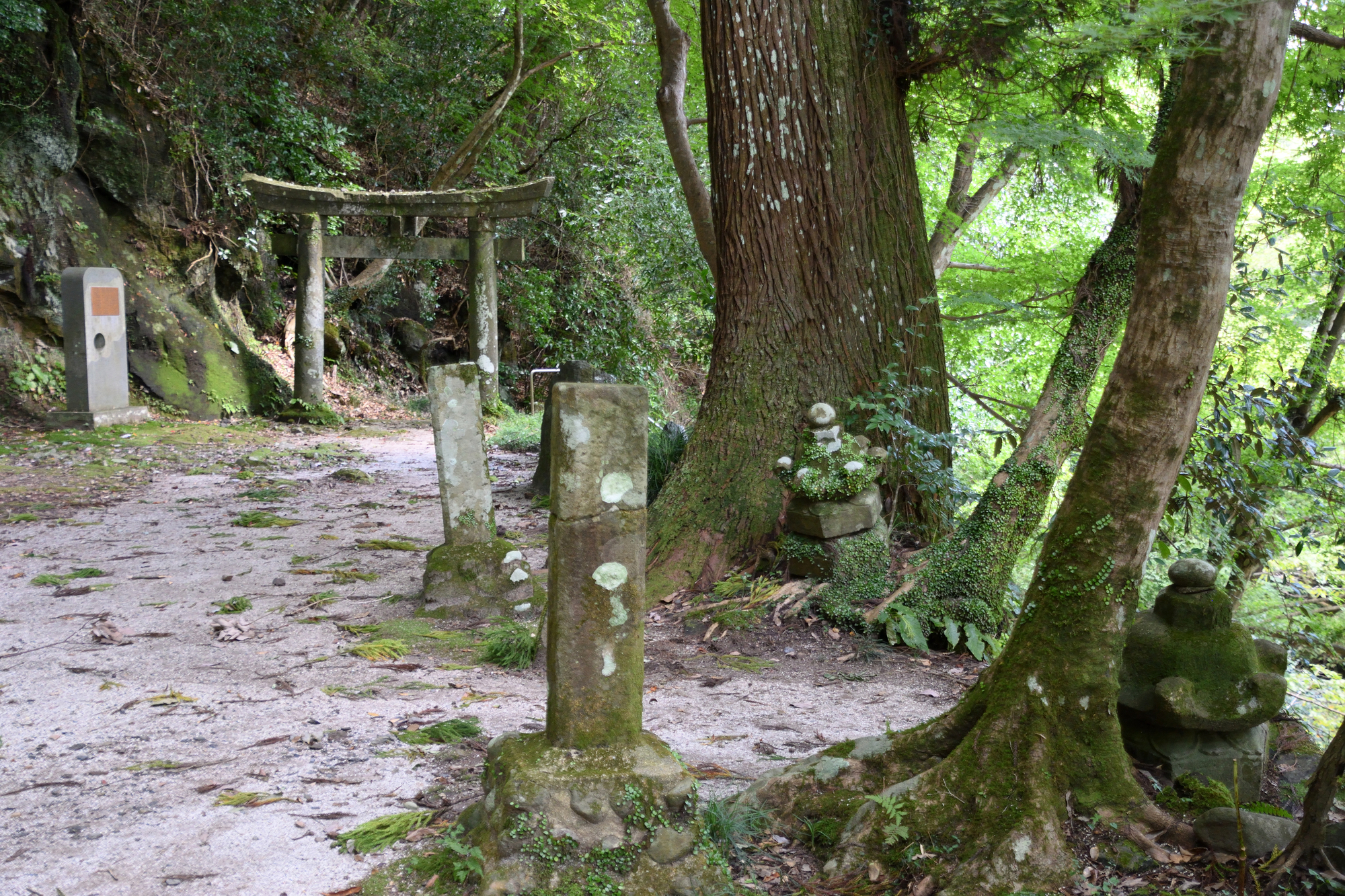 八女津媛神社
