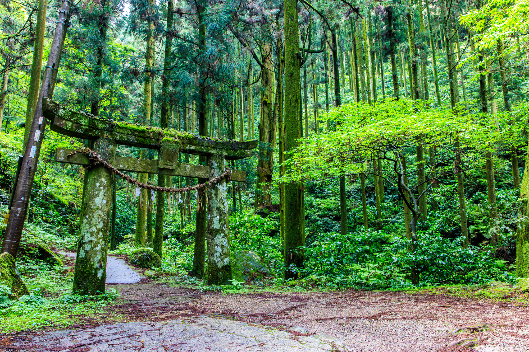 岩戸神社