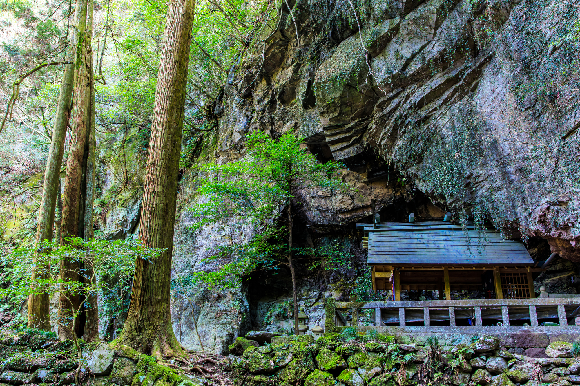 岩戸神社の画像 - 2枚目